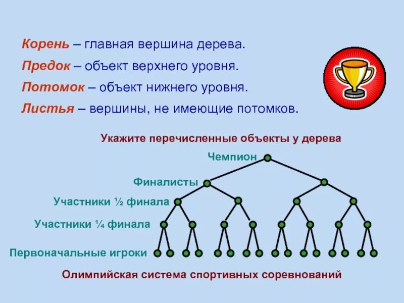 Вершины дерева не имеющие порожденных вершин называются