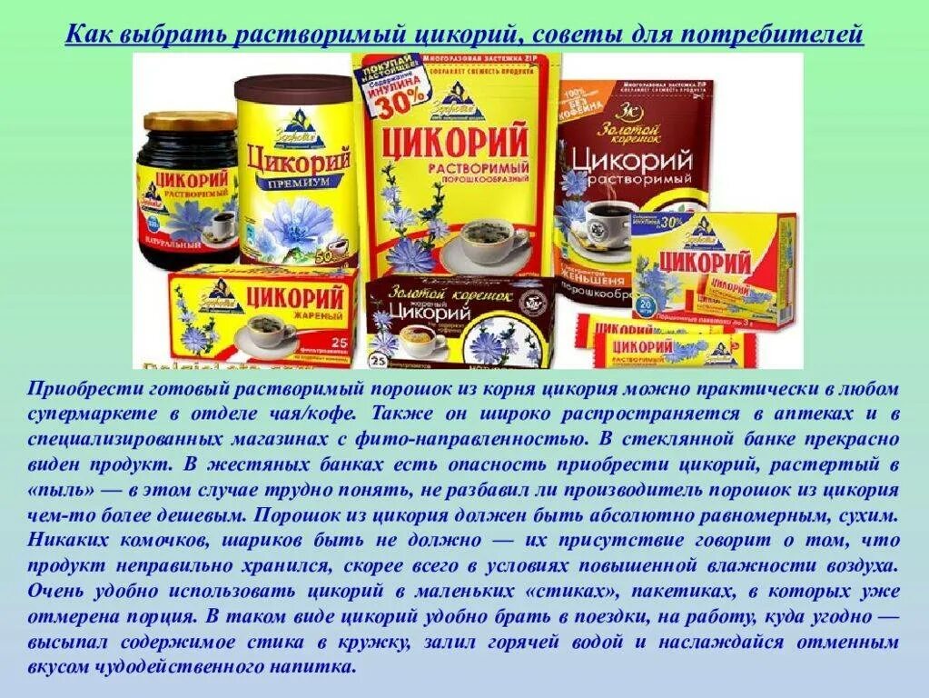 Сколько раз пить цикорий в день. Цикорий презентация. Цикорий для детей. Цикорий порошок. Полезен ли детям цикорий.