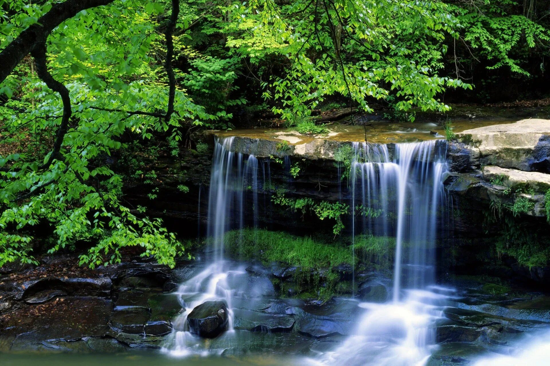 Природа. Пейзаж водопад. Живая природа водопады. Картинки на рабочий стол водопад. Сменить заставку на экране