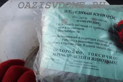Опрыскивание смородины осенью железным купоросом