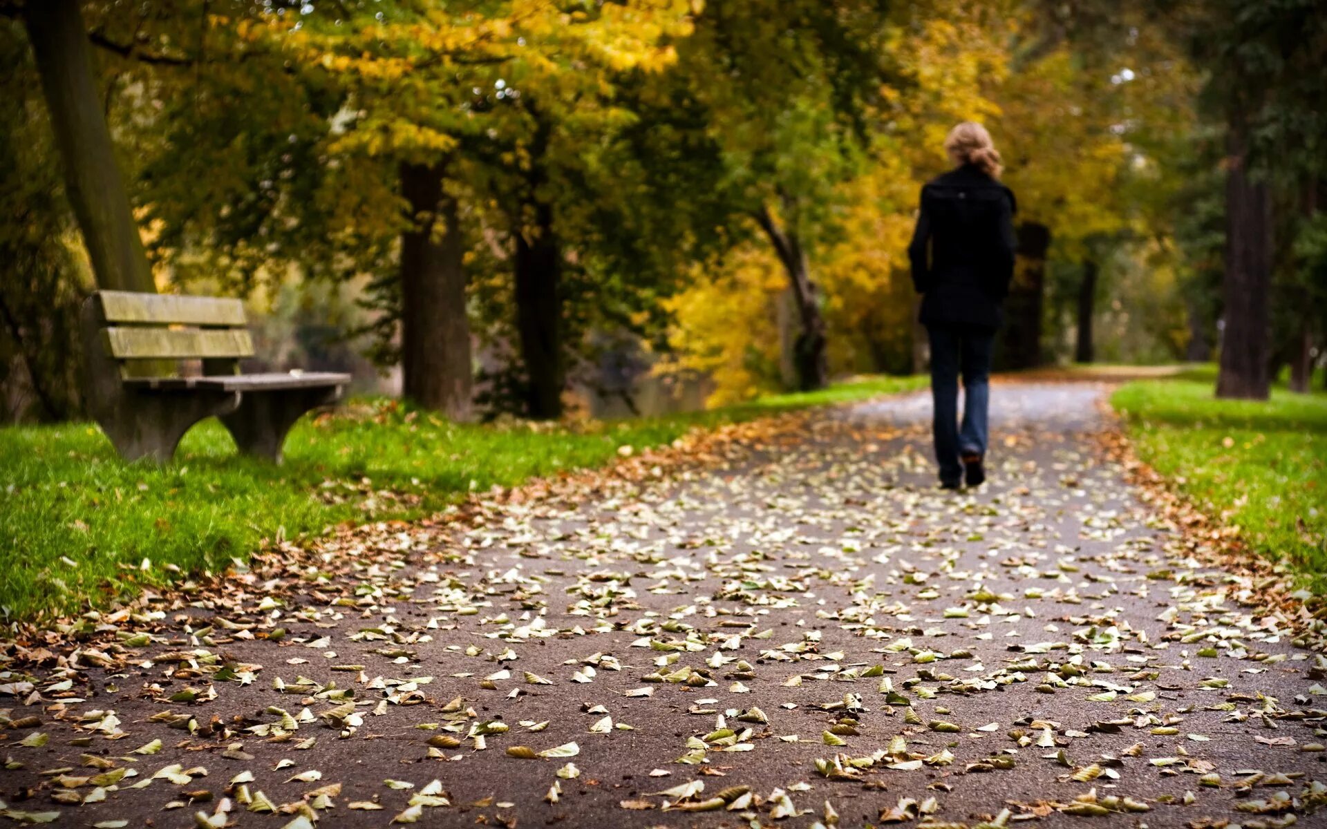 Гулять по аллее. Осенний парк. Прогулка в осеннем парке. Осень одиночество. Прогулка в парке.