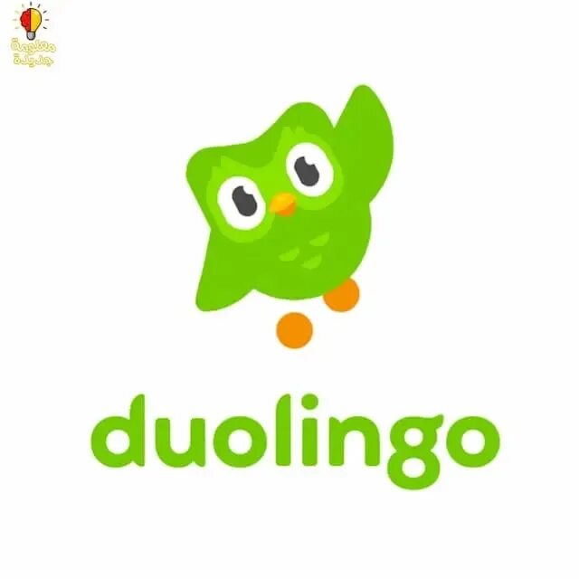 Duolingo. Совенок дуолинго. Сова дуолинго. Duolingo сова. Дуолинго без фона.