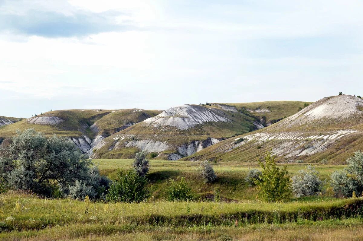 Сенгилеевские горы национальный парк. Сенгилеевские горы шиловская лесостепь. Парк сенгилеевские горы. Парк сенгилеевские горы. Национального парка «сенгилеевские горы».
