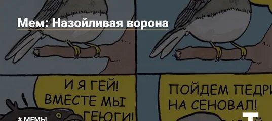 Мем про ворона. Ворона мем. назойливая ворона. назойливая ворона мем. мемы про ворон.