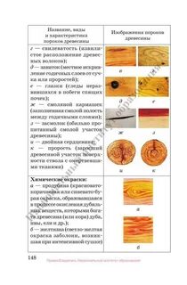 Пороки древесины 8 класс