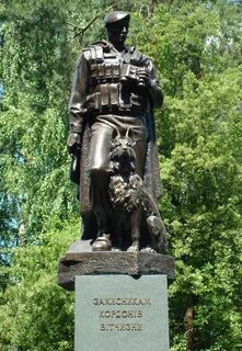 Пограничники питер