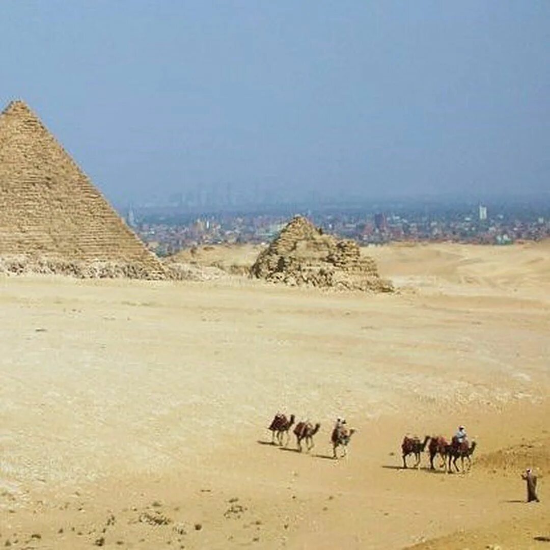 Какая природа египта. Каир Египет пирамиды. Египет Каир природа. Пирамиды Гизы.