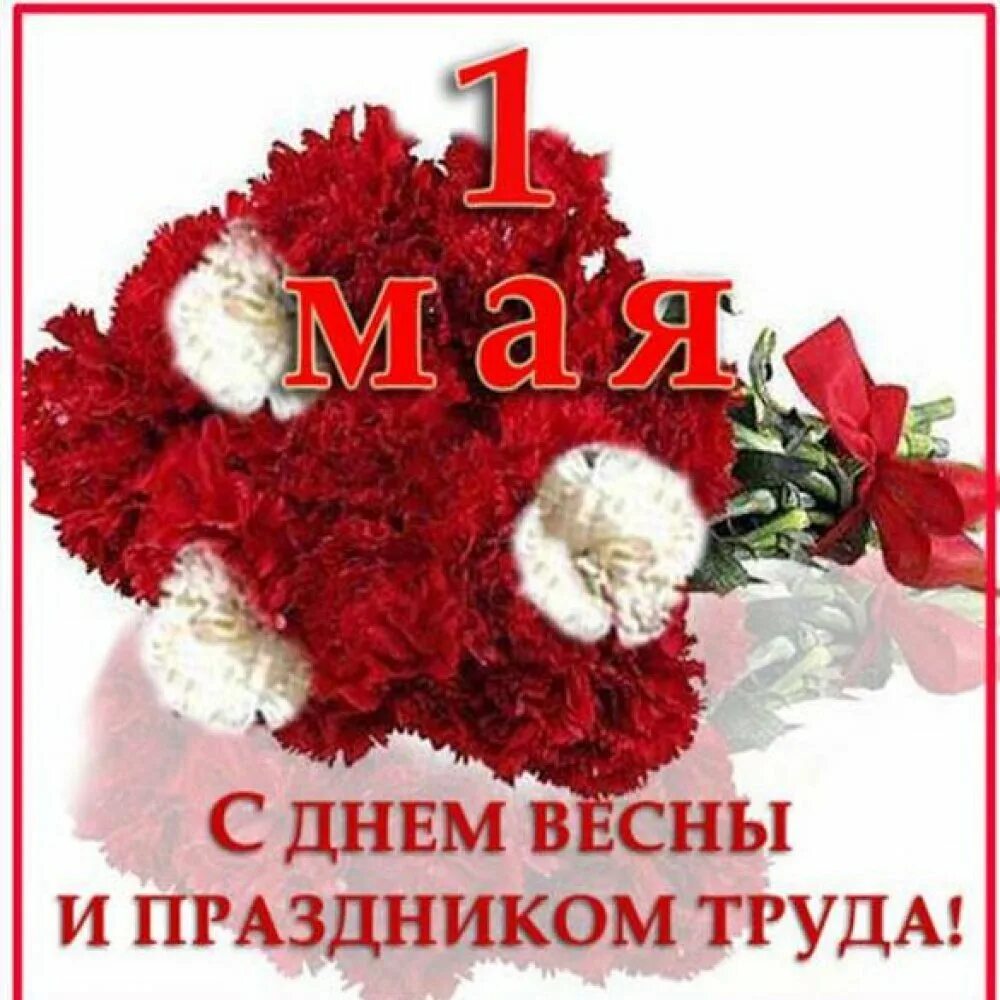 С праздником труда 1 мая прикольные. С 1 маем поздравления. поздравление с 1 мая. открытки с 1 мая. с 1 мая картинки поздравления.