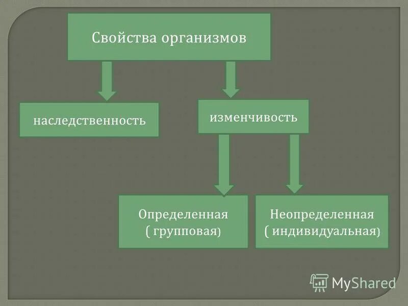 Свойства живых организмов наследственность