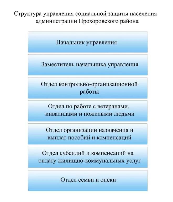 структура администрации города магнитогорска. схема структуры отдела социальной защиты населения. структура управления социальной защиты населения алтайского края. структура соц защиты в рф. структура территориальных органов социальной защиты населения схема.