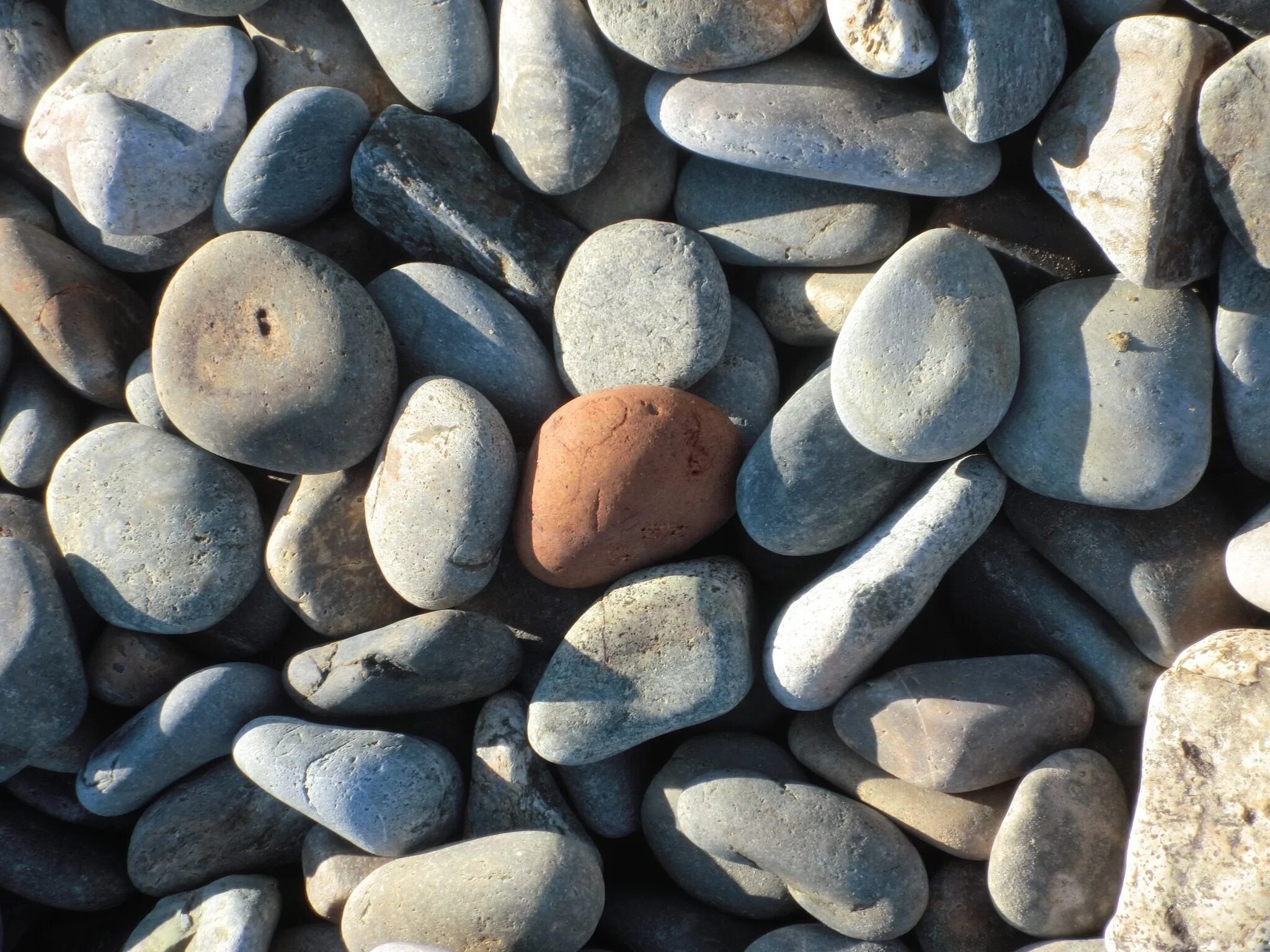 Галька происхождение. Куча камней. Груда камней. Кучка камней. Каменный пляж.
