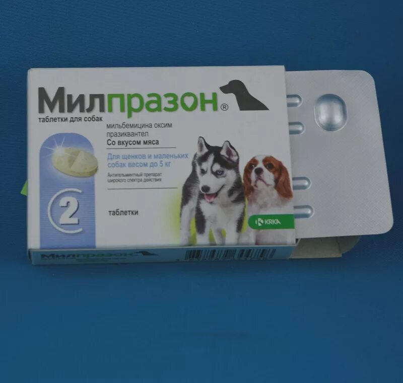 Милпразон таблетки для кошек 4мг/10мг. Милпразон таблетки для собак. Милпразон таблетки для собак. Милпразон для кошек таблетки 2*16мг/40мг (мш). Милпразон отзывы ветеринаров.