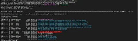 Linux amd64