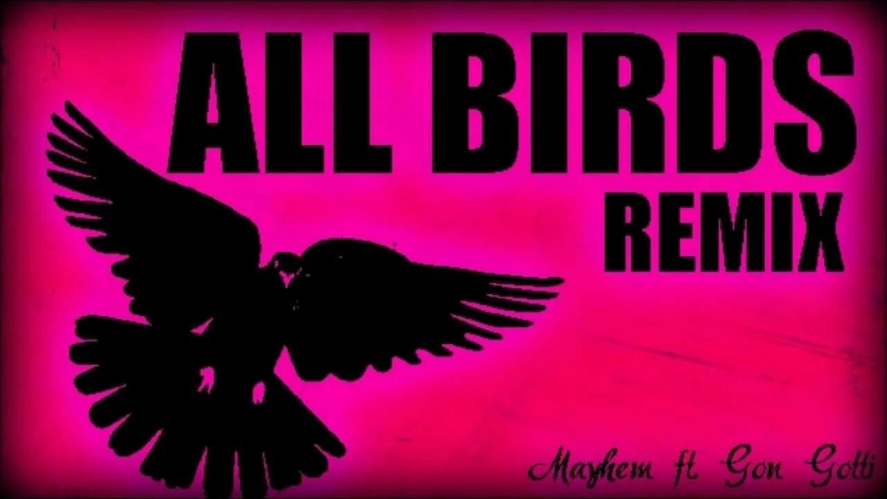 Bird remix. CTMMG. All Birds are equal.