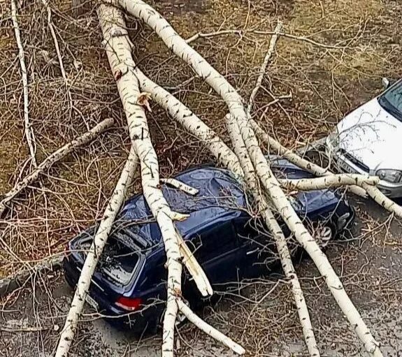 Ураган в новокузнецке. Ветра в новокузнецке. Ильинка ураган. 07. Ураган в новокузнецке вчера.