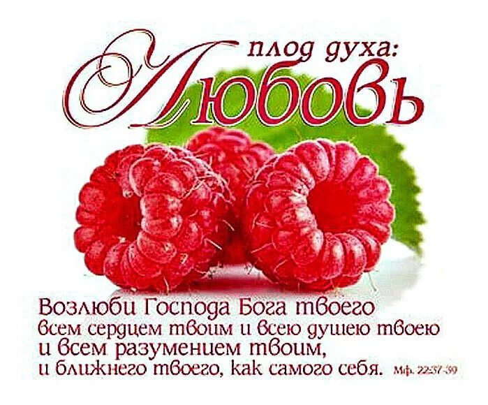 Плод любви. Плоды духа. плод духа любовь. плоды духа в библии. плод же духа любовь радость мир долготерпение.