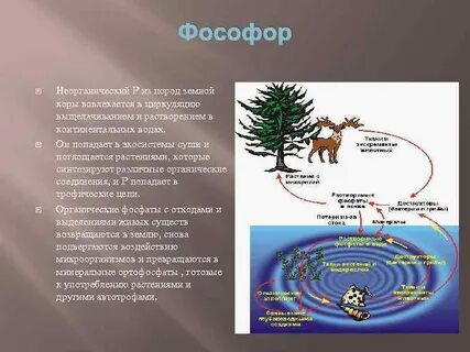 На земле огромных масштабах осуществляется круговорот воздушных
