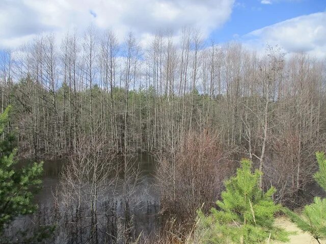 29 апреля календарь. 2022 картинки. 2022 кузнецк. календарь март апрель май 2022. 29 апрель 2021.