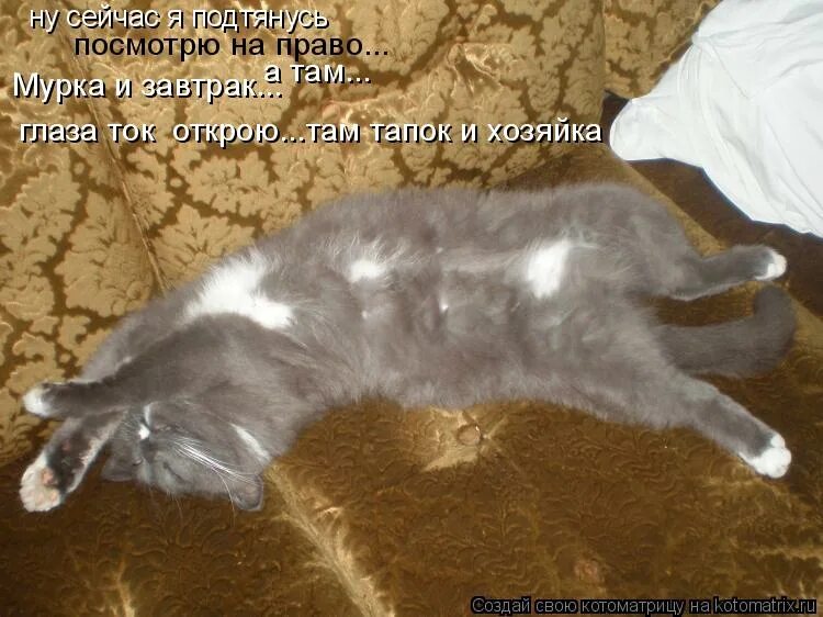 ну сейчас подойду