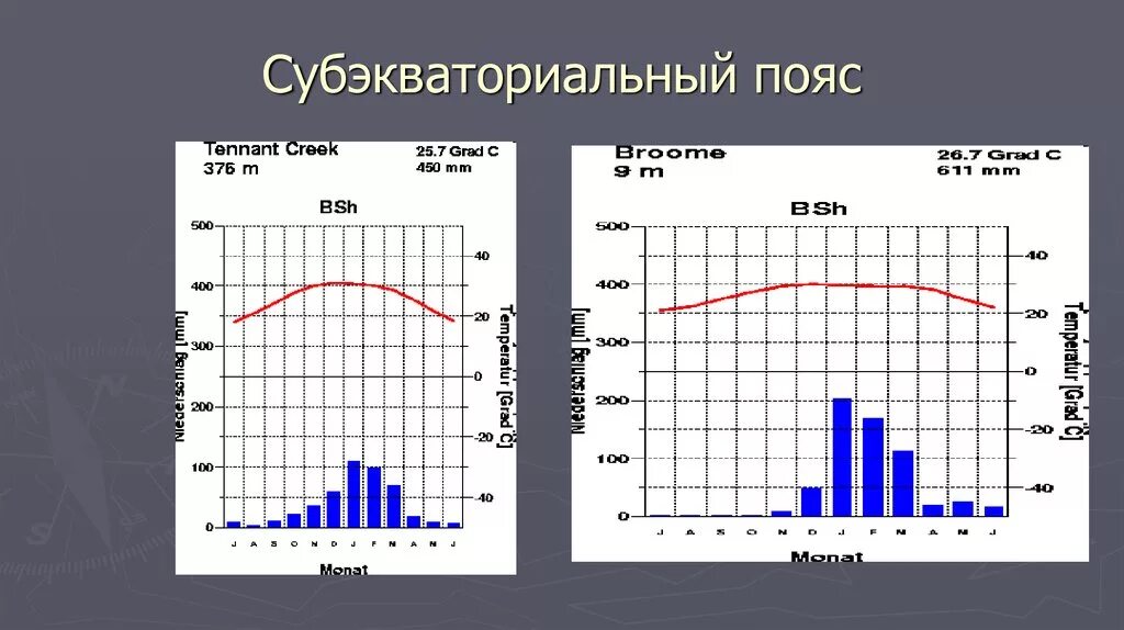 Субэкваториальный полушарие. Климатограмма Северного субэкваториального пояса. Климата граммы субэкваториального поясе. Климатограммы экваториального пояса Африки. Климатограмма субэкваториального пояса Африки.