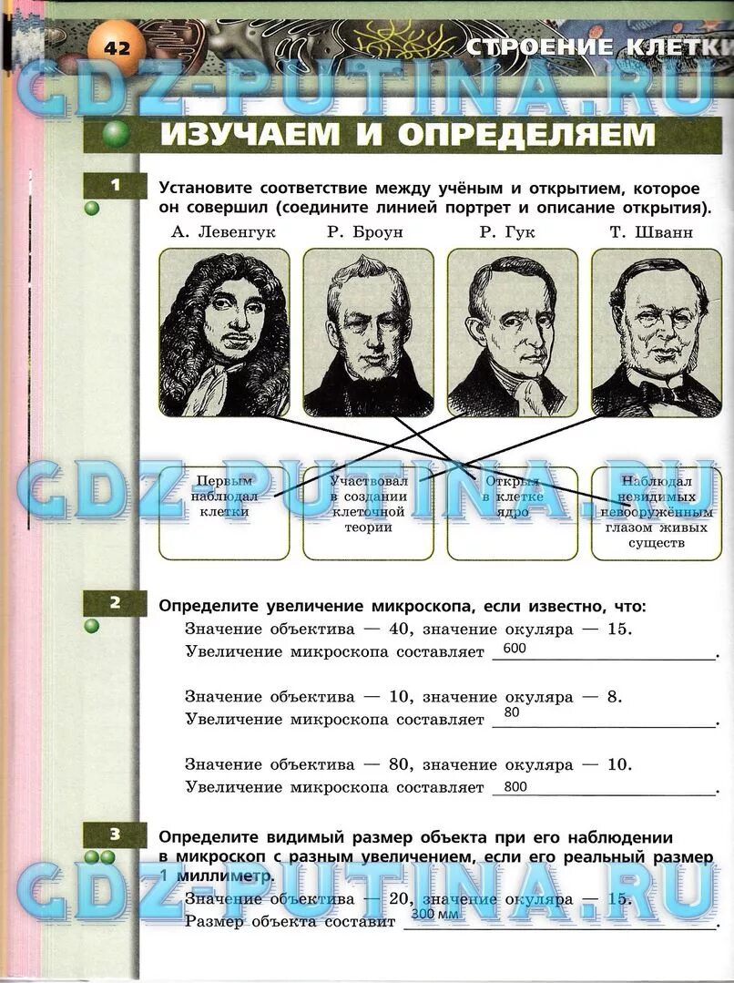 Соответствие между ученым и теорией. Установите соответствие между открытием и ученым.