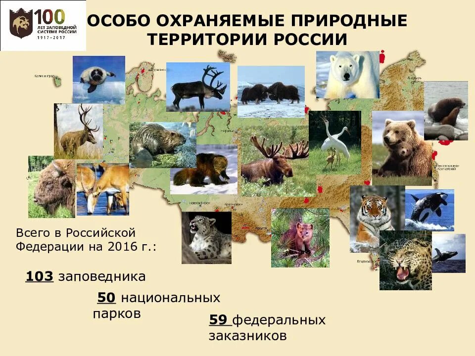 Оопт примеры. Оопт презентация. оопт заповедники россии. особо охраняемые природные территории проект. особо охраняемые природные территории презентация.