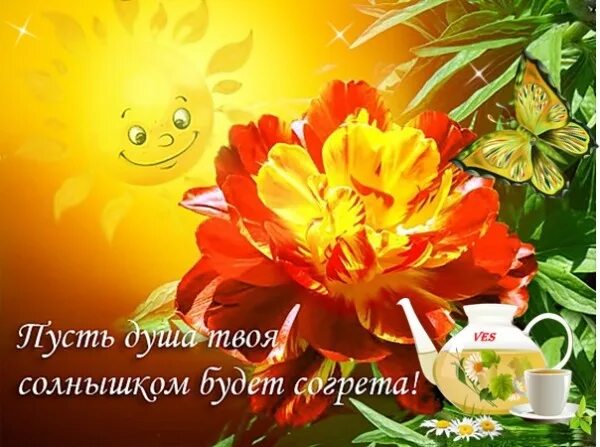 Пусть солнце греет. Тепла и солнца. Солнышка в душе и радости. Душевного тепла и солнечного настроения. Пожелания солнца и тепла.