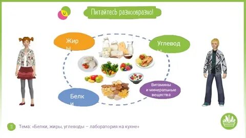 Белки жиры углеводы задания егэ биология