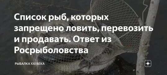 Запрет вылова великобритании. Ловля рыбы запрещена. Запреты на рыбную ловлю перечень. Ловля рыбы а Вятке 2022. Какие рыбы не в запрете на Дону.