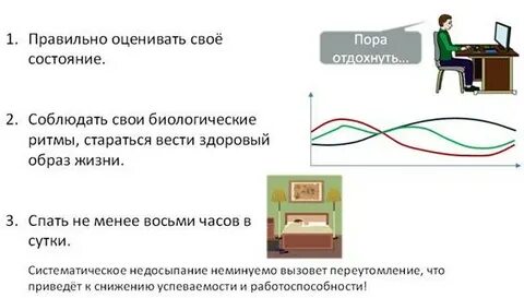 Влияние биологических ритмов