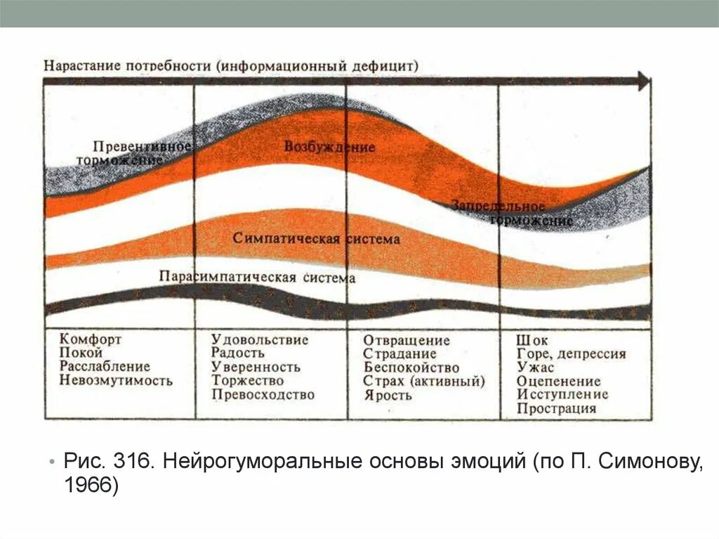 Физиологические основы психики. Физиологические основы психики человека презентация. Физиологические основы эмоций. Информационный дефицит.