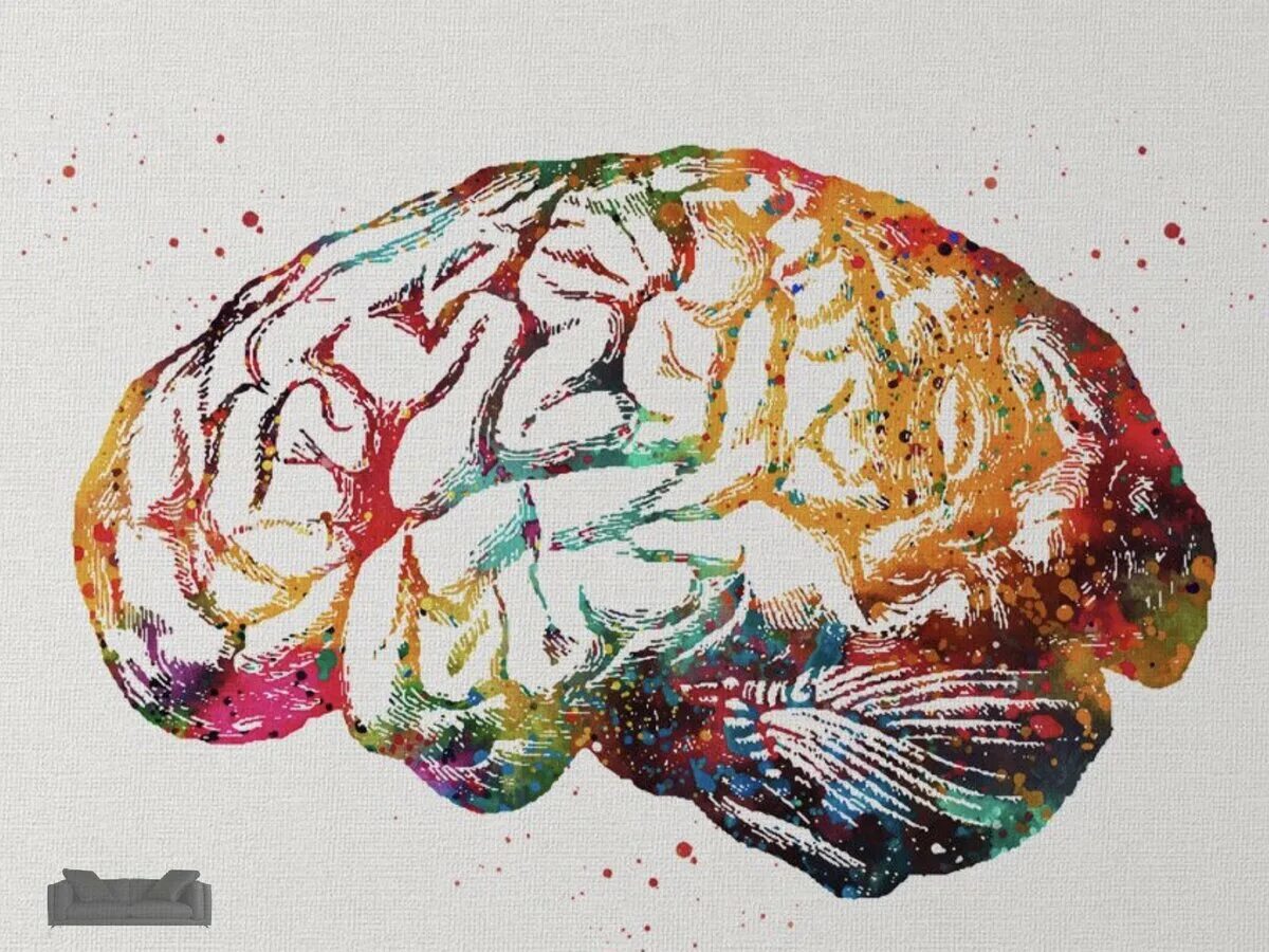 Мозг человека арт. Мозг абстракция. Мозг картина.