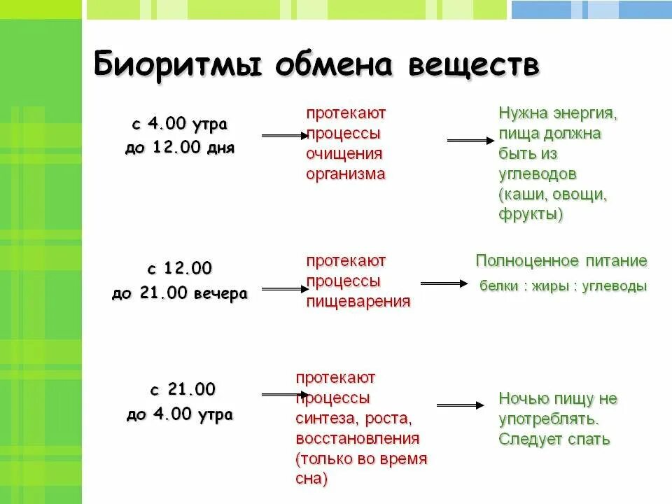 Биоритмы. Биоритмы обмена веществ. Биоритмы человека по часам питание. Биоритмы работы органов. Питание 5 энергий