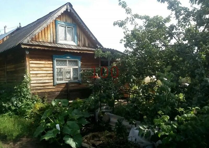 Дачная 13 сарапул. Сады огороды снт верески сарапул. Авито сарапул сады огороды. Сарапул садовая 19. Снт нефтяник сарапул.