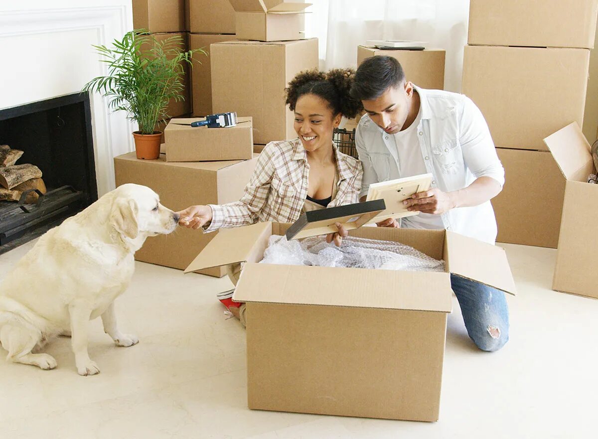 Make home easier. Make home easier. Make home easier. Moving tips. Make cooking easier.