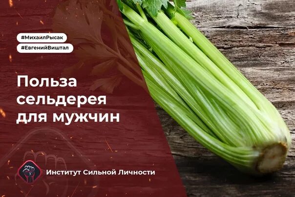 Стебель сельдерея для мужчин. Сельдерей для мужчин. Сельдерей польза для мужчин. Сельдерей польза и вред для здоровья. Польза сельдерея для организма мужчины.