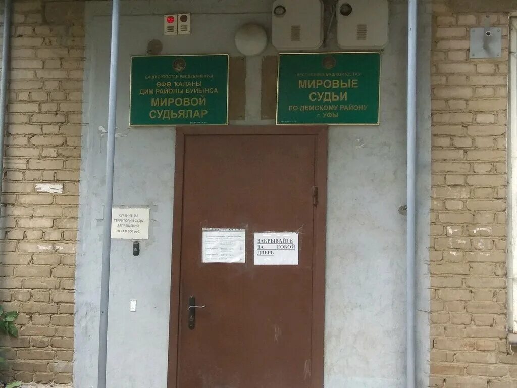 демский двор. демский мировой 3. кронирование клена. демский мировой 3. демский район города уфы.