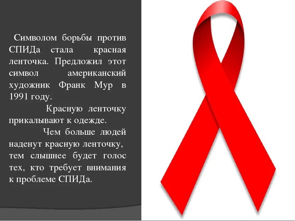 Спиде net