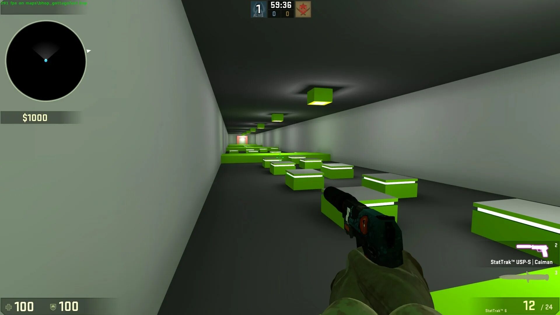 Family project cs go