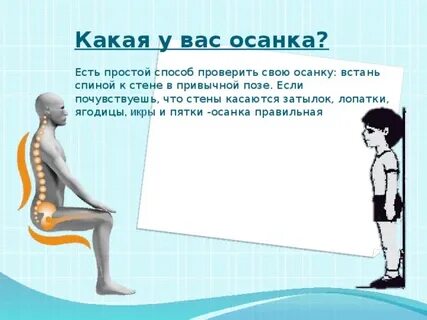 Для правильной осанки характерно
