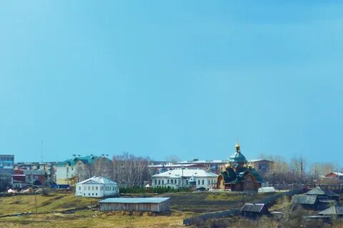 Туринск животные
