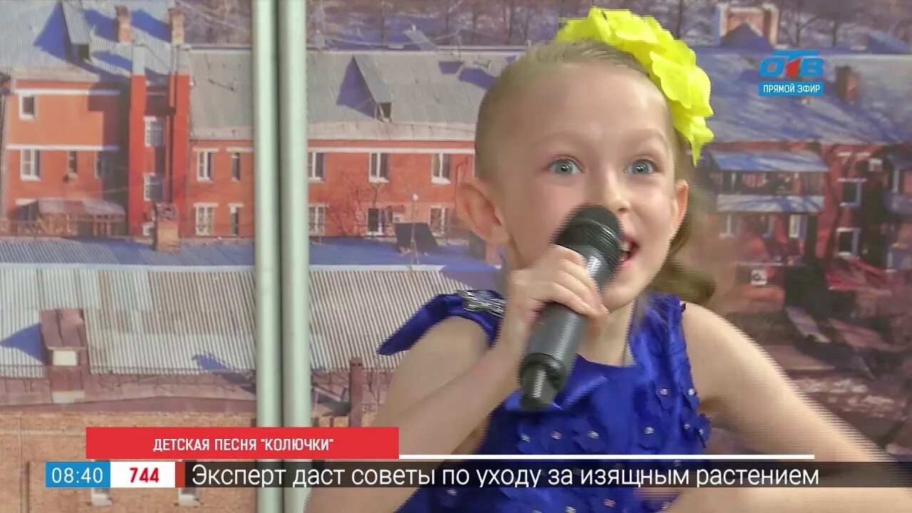 Солнышко солнышко жгучее колючее. Солнышко жгучее колючки. солнышко солнышко жгучее колючки колючки колючие. песенка солнышко жгучее колючки колючие. песенка солнышко жгучее.