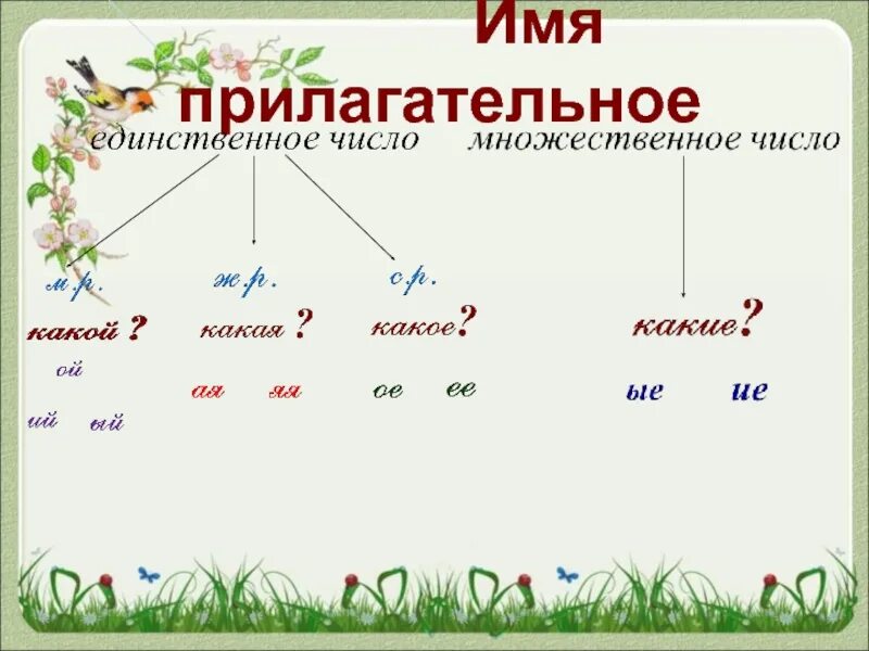 Измени прилагательные по вопросам. Изменение имен прилагательных по числам. Изменение имен прилагательных по числам 3 класс. Зменение имён прилагательных по числам.. Изменение имен прилагательных по родам 3 класс.