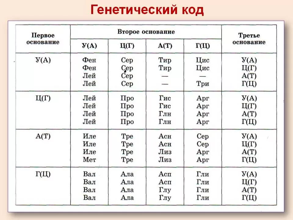 Определите последовательность закодированных аминокислот