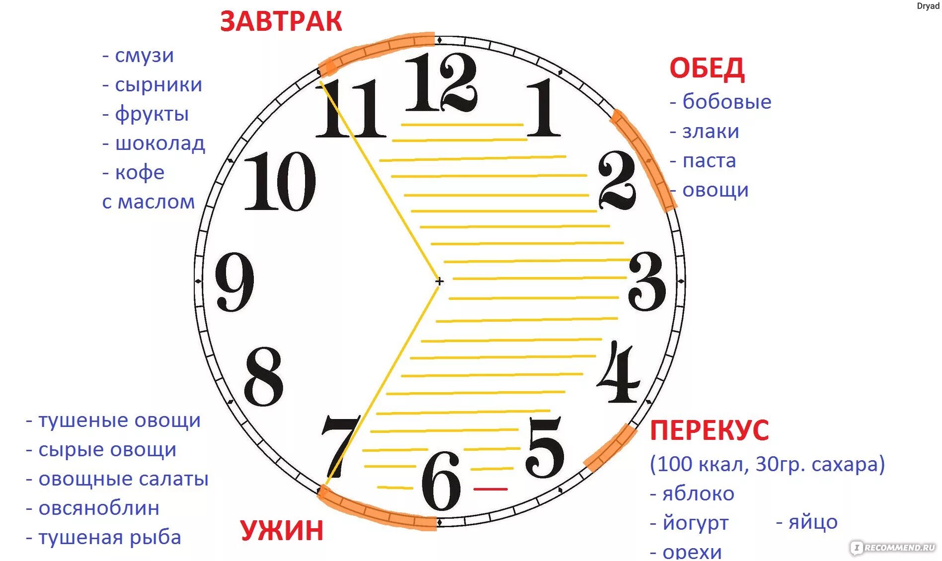 У мамы есть часы. Интервальное голодание 16/8 схема. Интервальное голодание 16/8 схема по часам. Интервальное голодание 16/8 схема для начинающих. Интервальное голодание 18/6 схема.