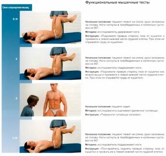 Тест пресса