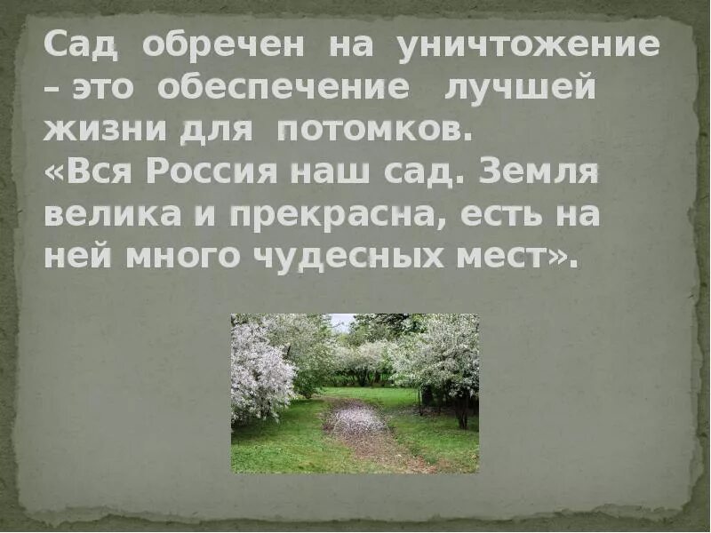 Новая россия вишневый сад. Вся Россия наш сад. Чехов вся Россия наш сад. Вся Россия наш сад велика и прекрасна. Как вы понимаете фразу вся Россия наш сад.