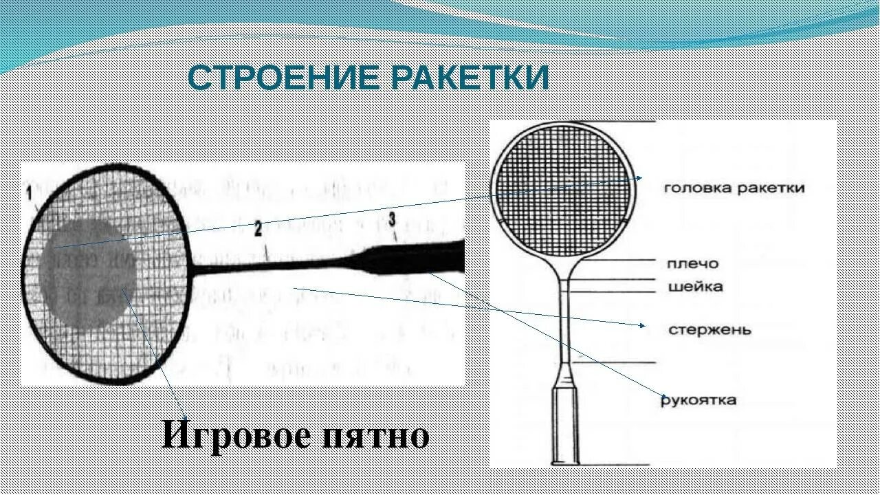 Бадминтон доклад. Строение бадминтонной ракетки. Схема натяжки струны бадминтонной ракетки. Схема перетяжки бадминтонной ракетки. Габариты бадминтонной ракетки.