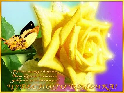 Доброго денька гифки