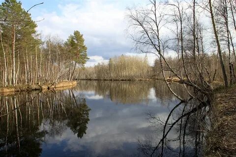 Весеннее половодье какая река